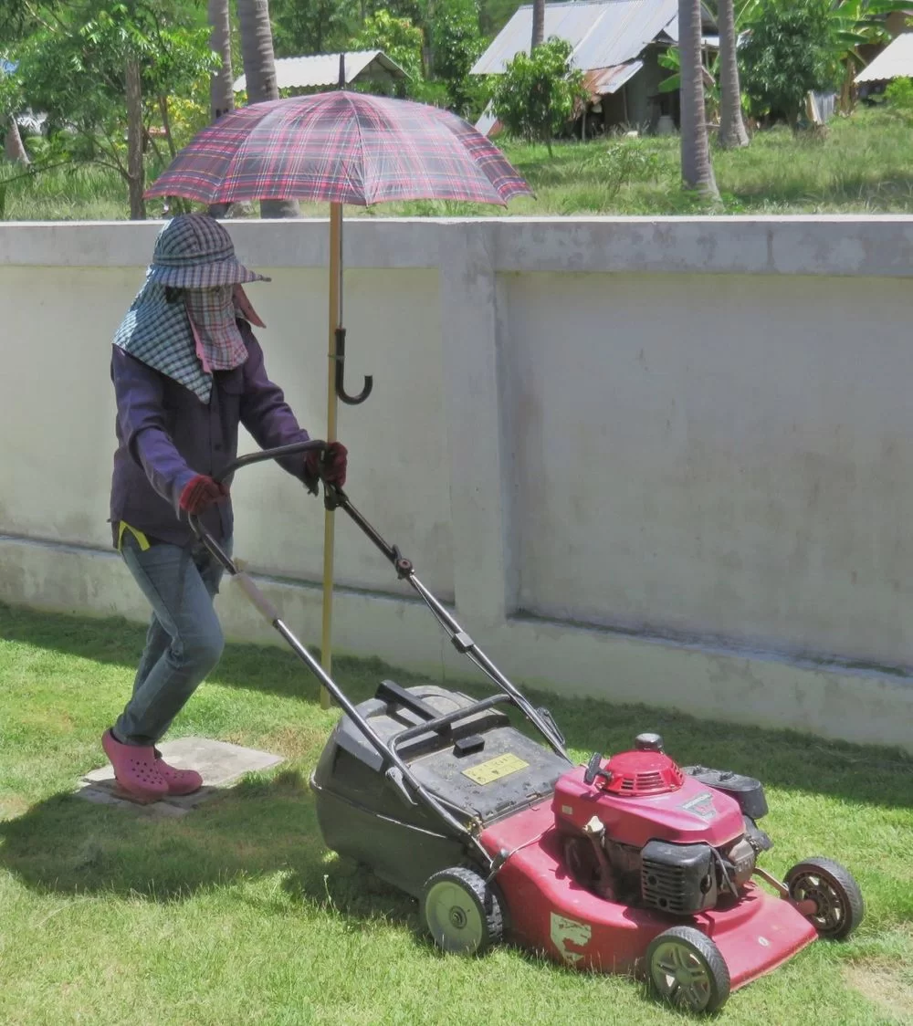 Trägårdsarbetare Thailand.webp