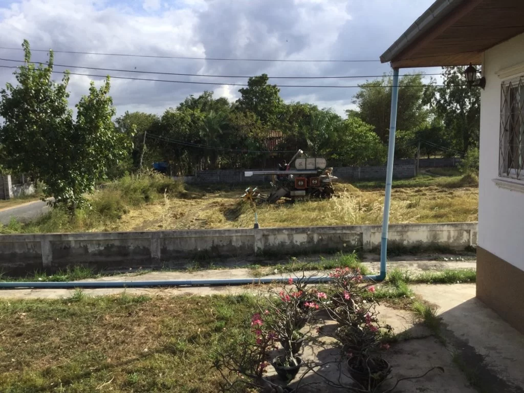 Tröskning av fältet jämte huset 2.webp