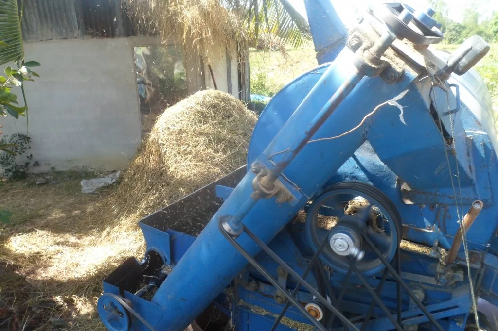 ttk, 02.12.15 014.webp