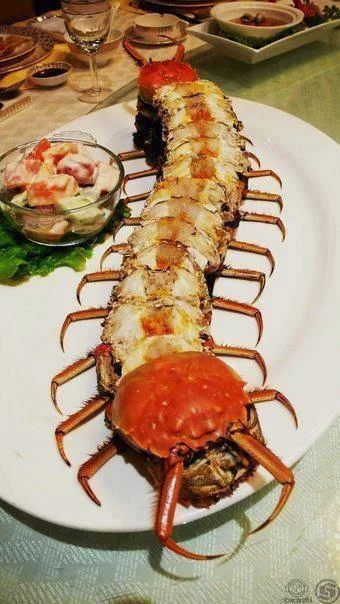 Ugnsbakad tusenfoting.webp