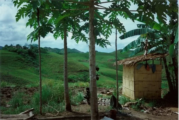 utsikt toaletten.webp