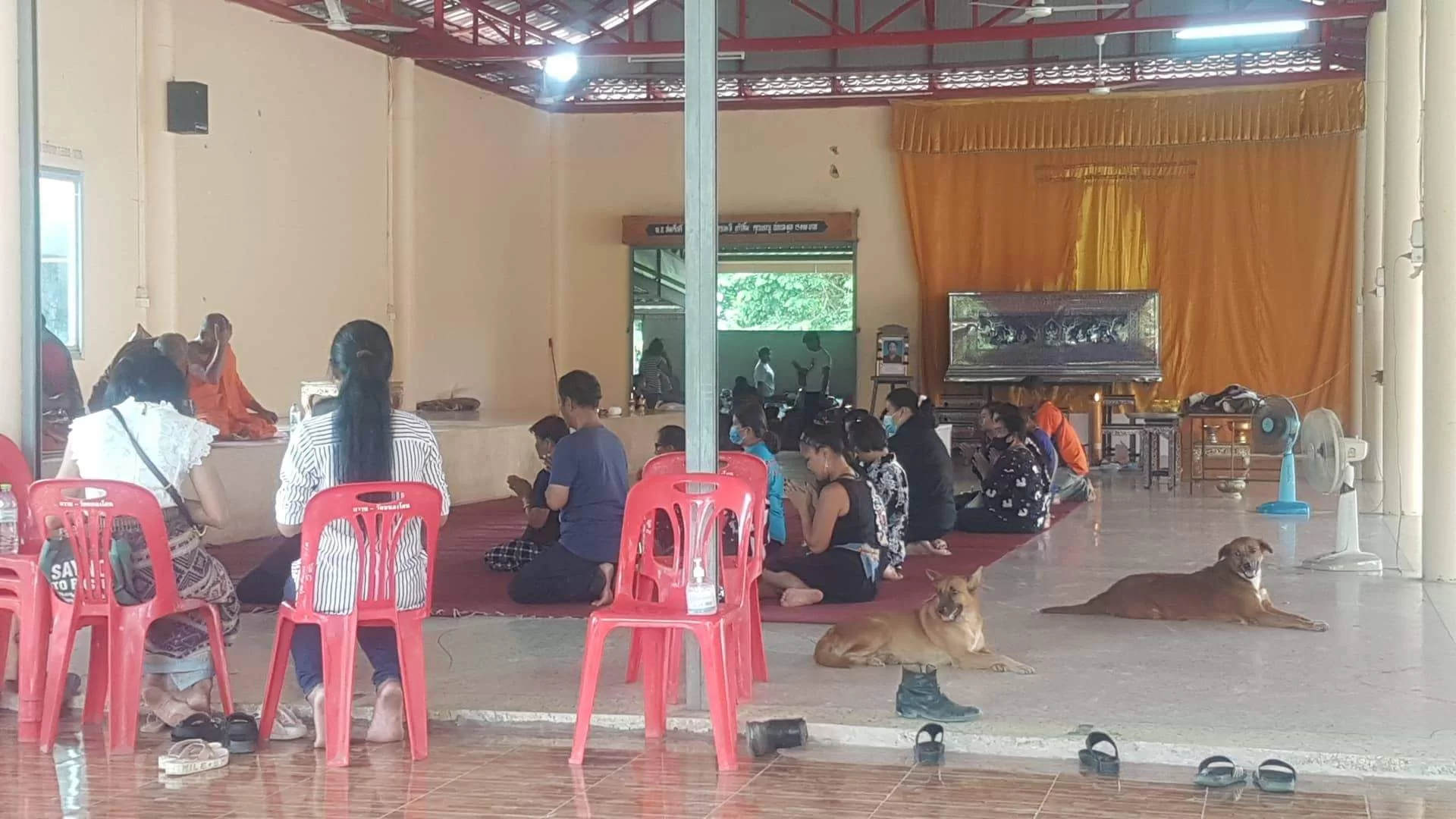 WhatsApp Image 2020-10-26 at 01.03.19.jpeg