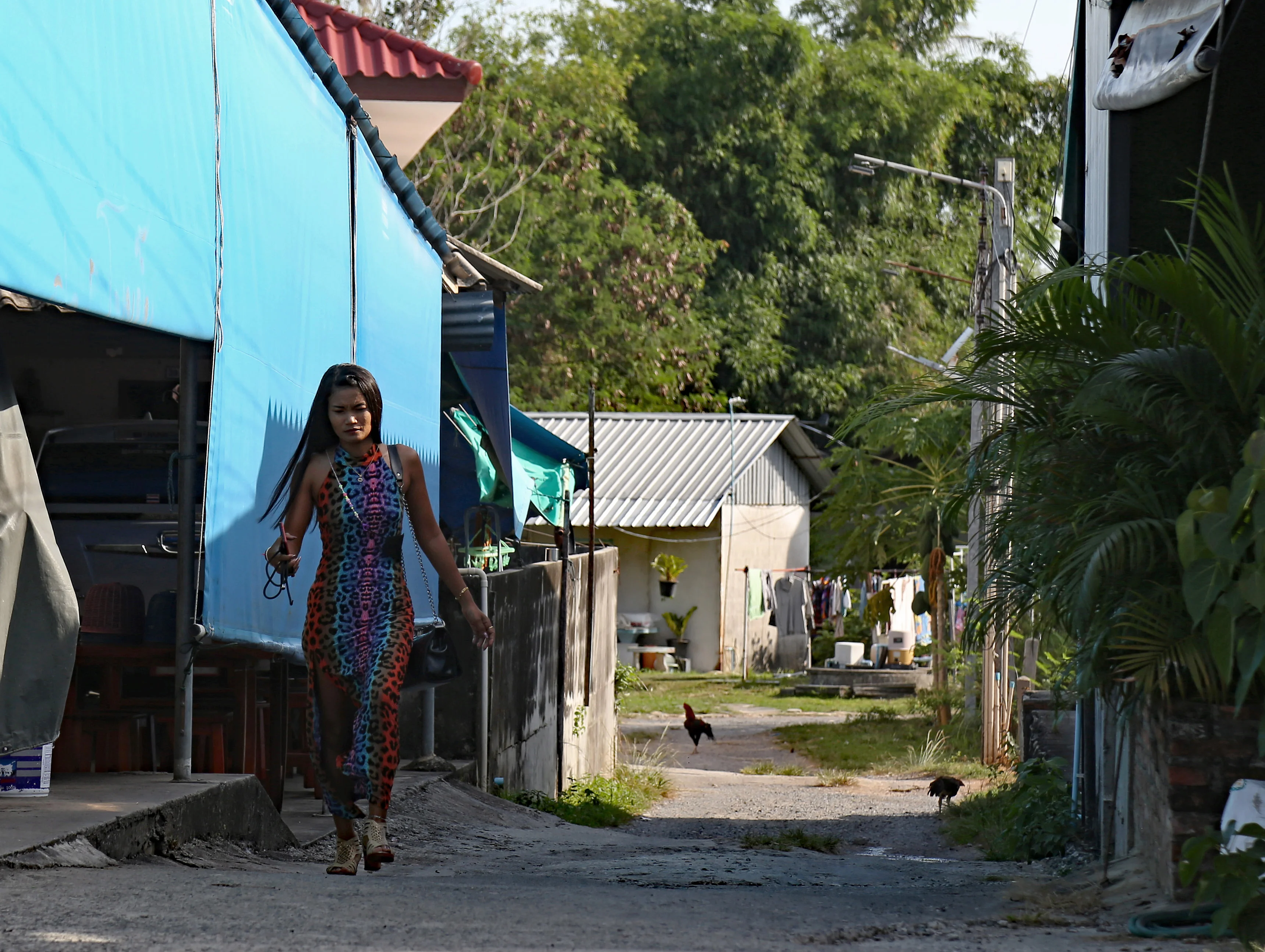 Z18C2779 copy 5 ahr.webp