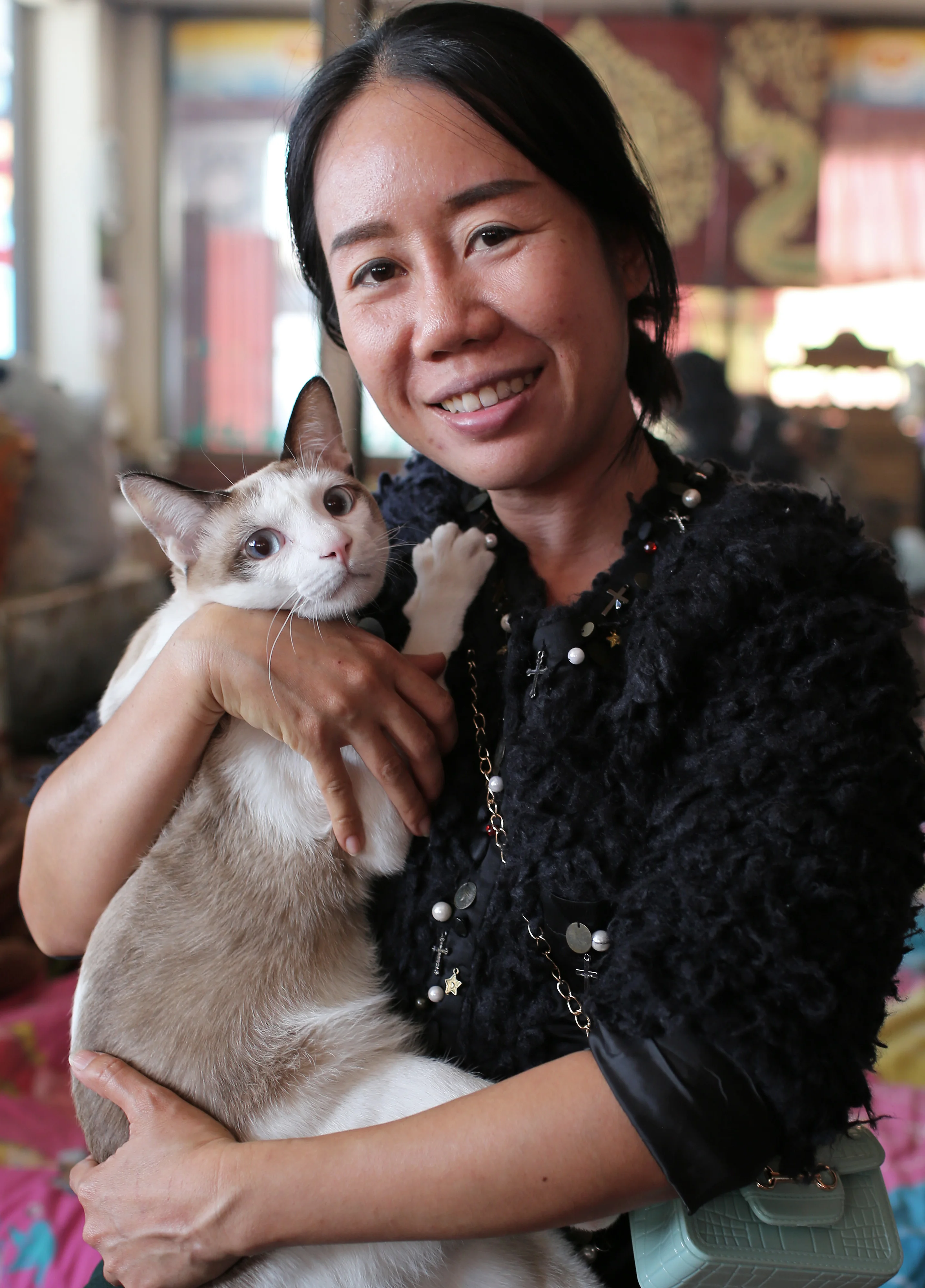 Z18C3536 copy 3.webp