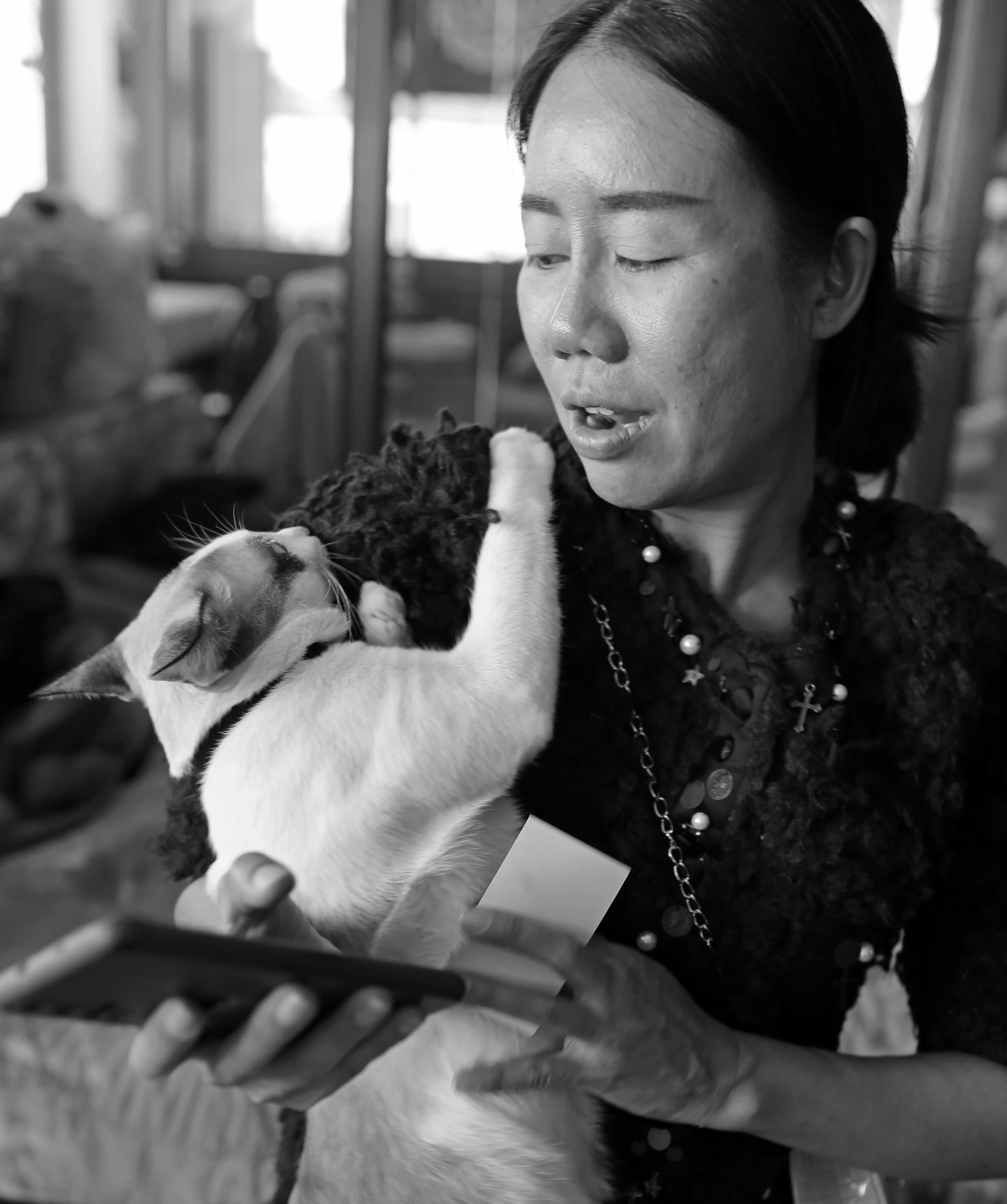 Z18C3539 copy 2 bw.webp