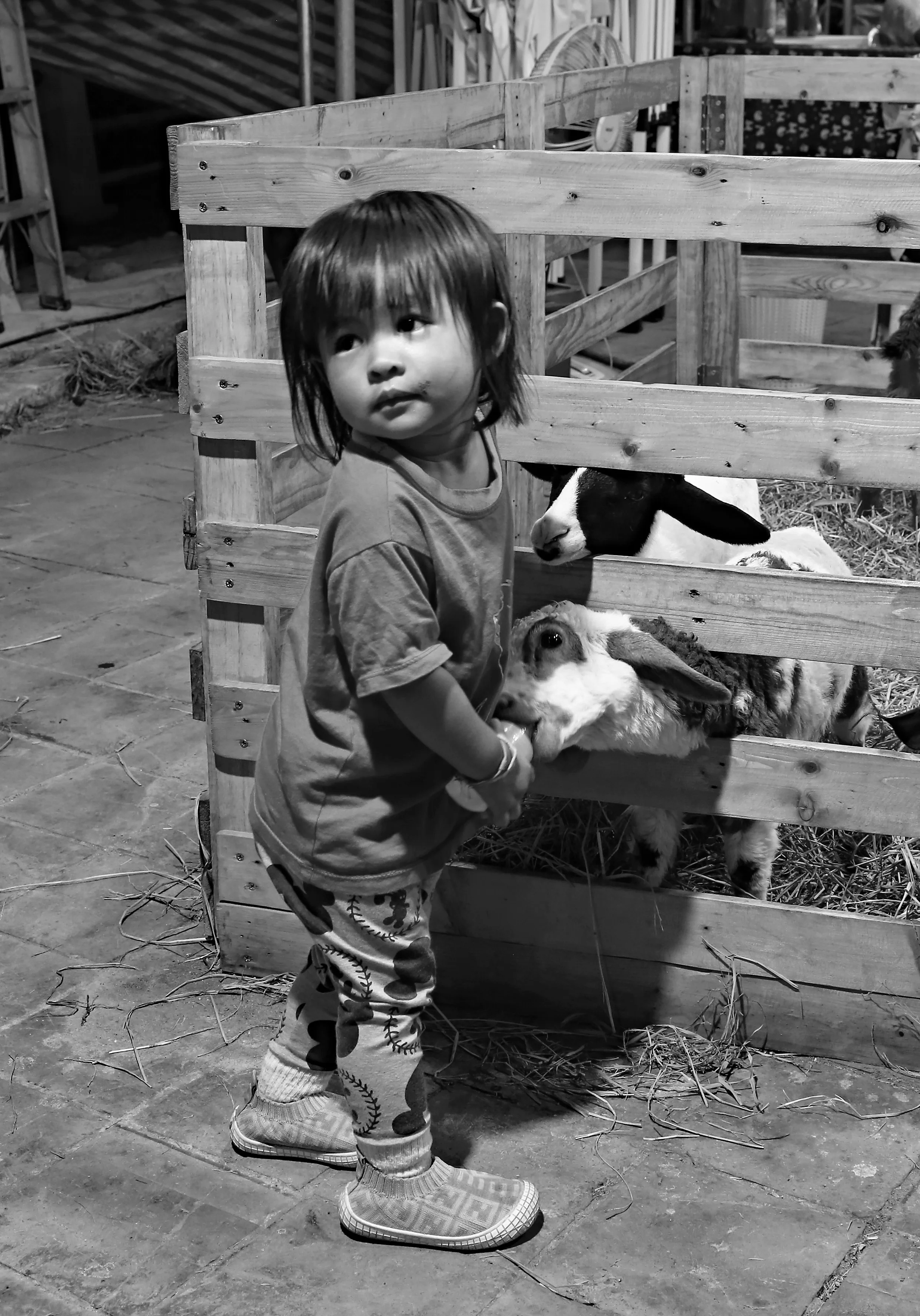 Z18C8357 copy auto haze removal 2 bw.webp