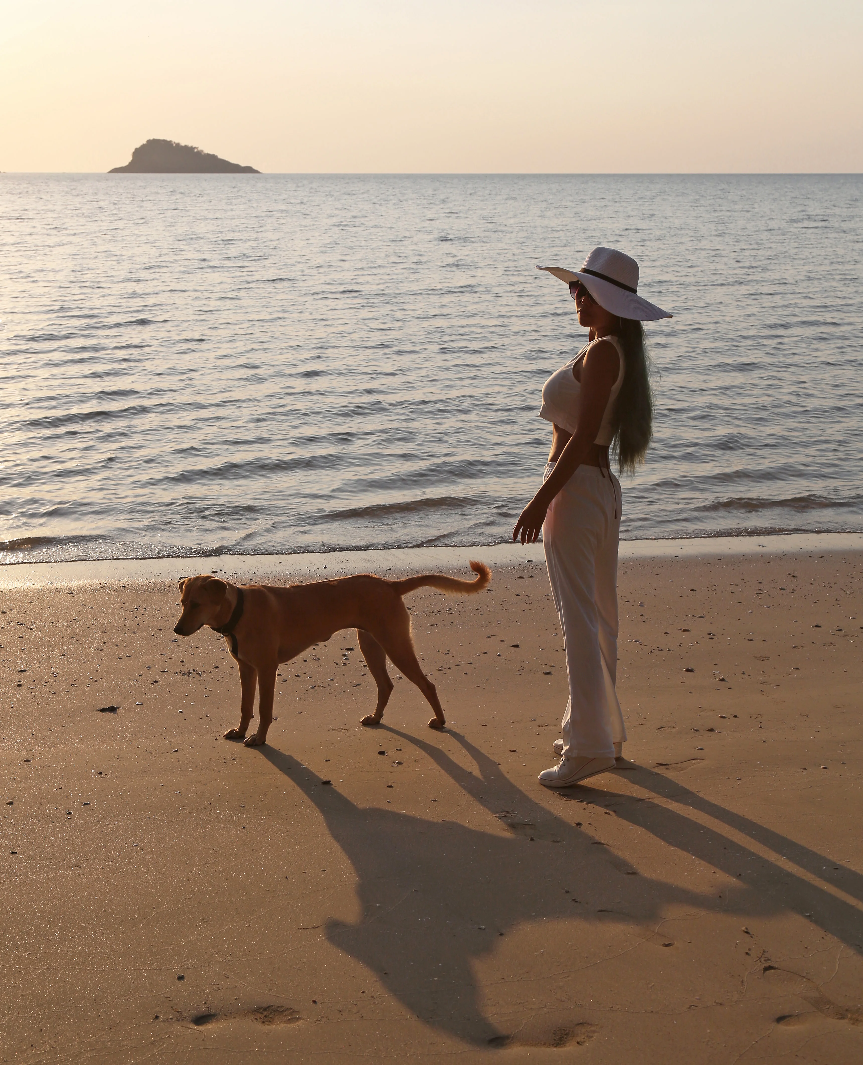 Z18C9705 copy 3.webp